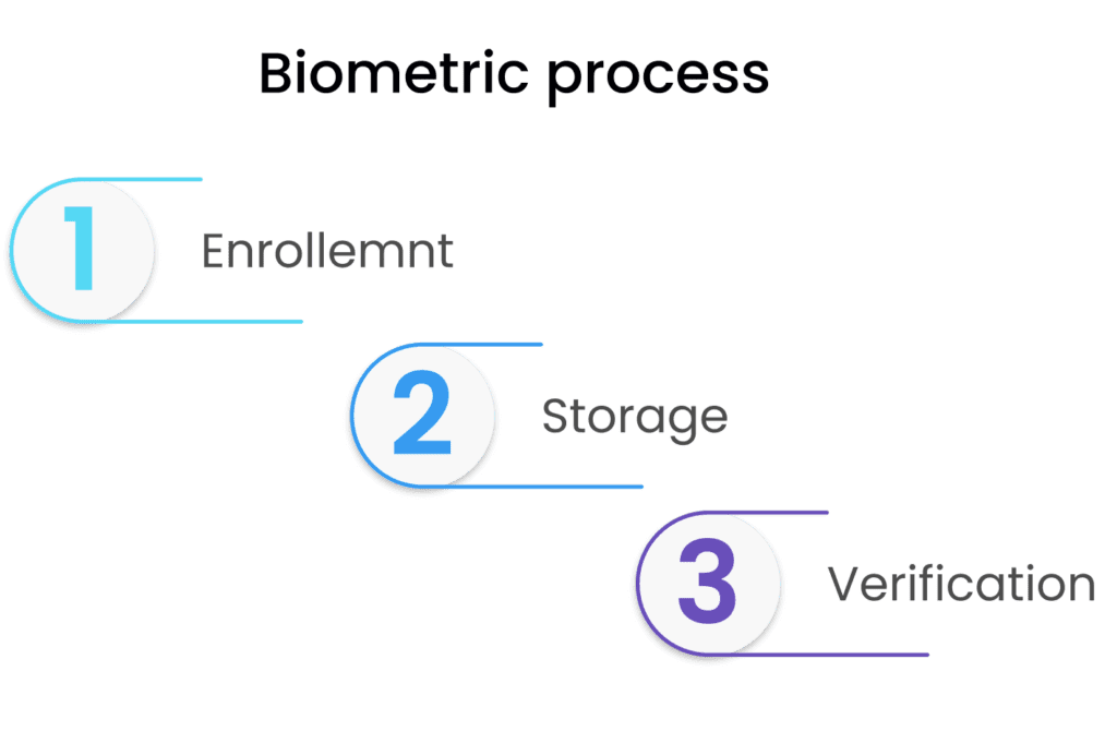 Flowchart illustrating the biometric process in three steps: 1. Enrollment, 2. Storage, and 3. Verification.