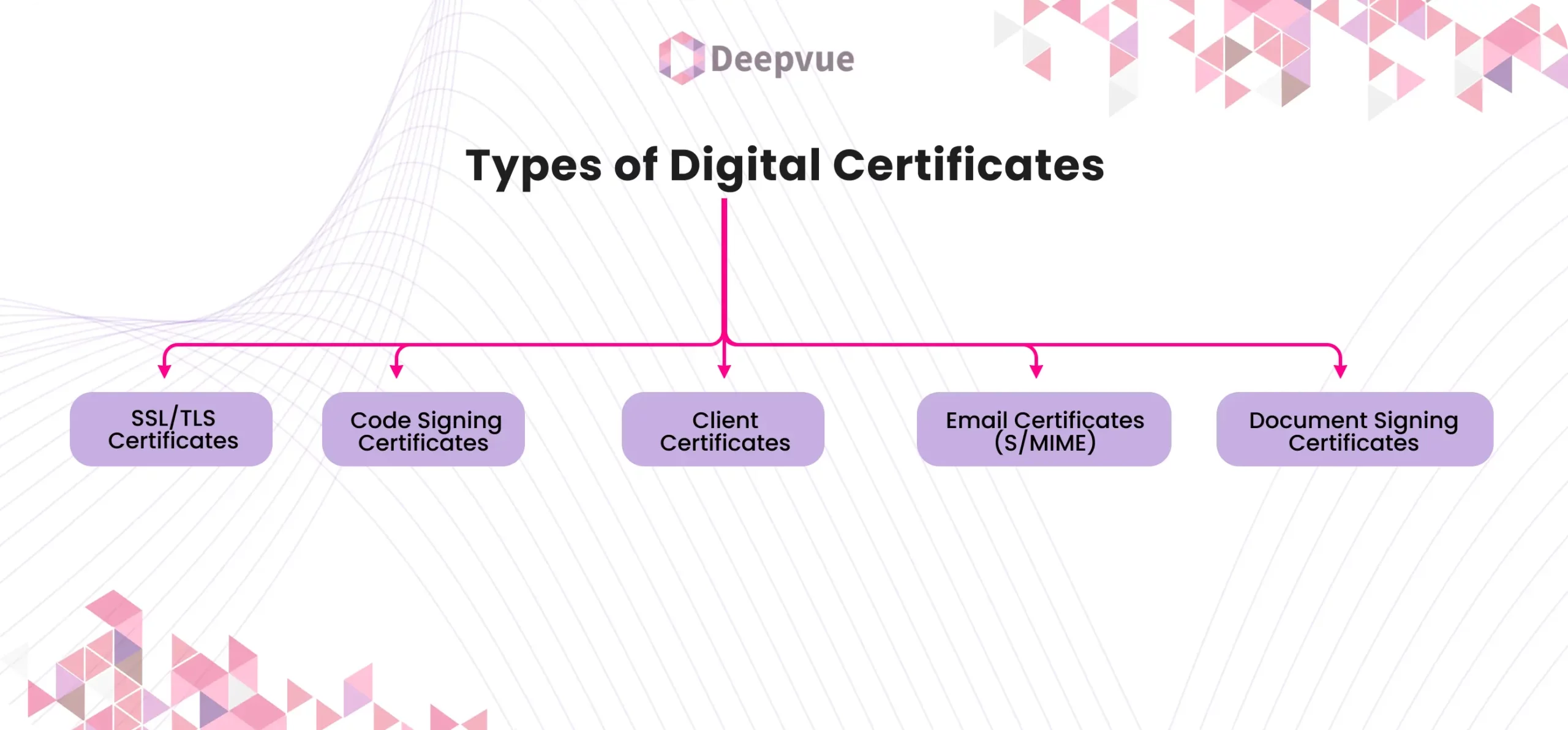 Diagram showing types of digital certificates: SSL/TLS, Code Signing, Client, Email (S/MIME), Document Signing.