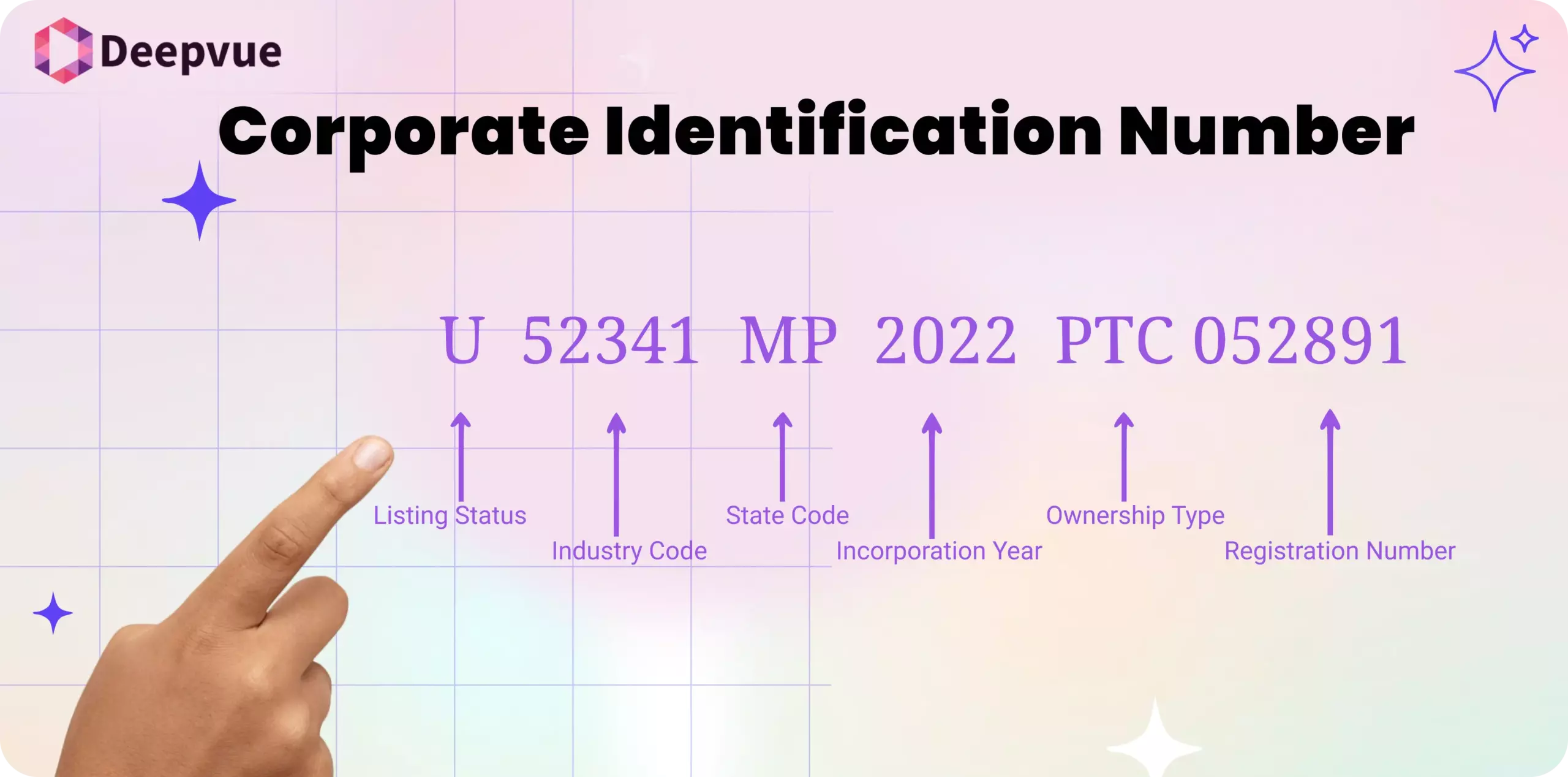 A hand points to a breakdown of a Corporate Identification Number (CIN), explaining segments for listing status, industry code, state code, incorporation year, ownership type, and registration number.